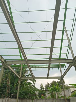 WhatsApp Image 2025-12-08 at 20.58.27 (1)